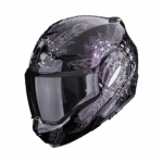 A_scorpionEXOTECHEVO_DREAM_BlaCha_getstung