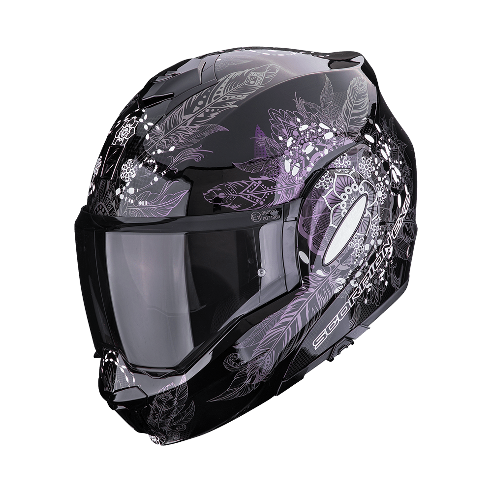 A_scorpionEXOTECHEVO_DREAM_BlaCha_getstung