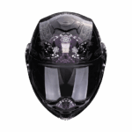 A_scorpionEXOTECHEVO_DREAM_BlaCha_getstung