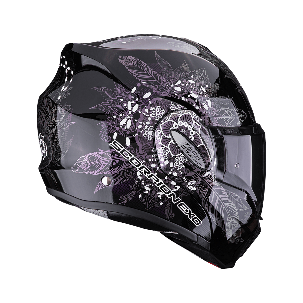 C_scorpionEXOTECHEVO_DREAM_BlaCha_getstung