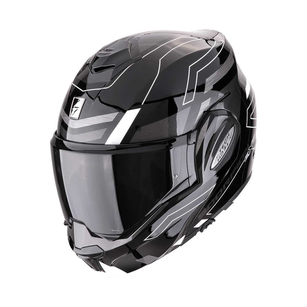 A_scorpionEXOTECHEVO_CONQUER_BlaWhi_getstung